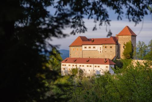 Rooms & Apartments Podsreda Castle in Brezice