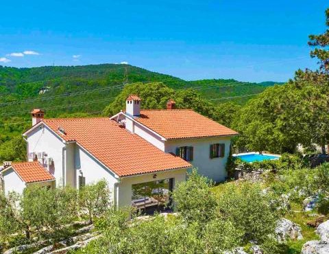 Rustic villa LENI in Šušnjevica