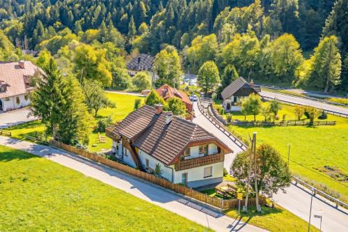 Sauna Chalet Planica near Kranjska Gora - Happy Rentals in Podkoren