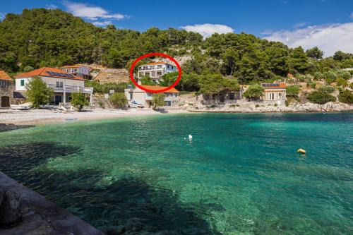 Seaside secluded apartments Cove Torac, Hvar - 8653 in Gdinj