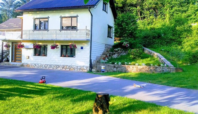 Sokol in Ogulin