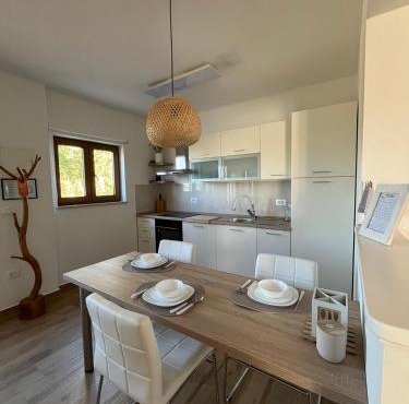 Studio Apartman Nika