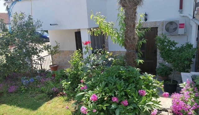 Studio flat with terrace Dajla, Novigrad (AS-6935-a) in Novigrad