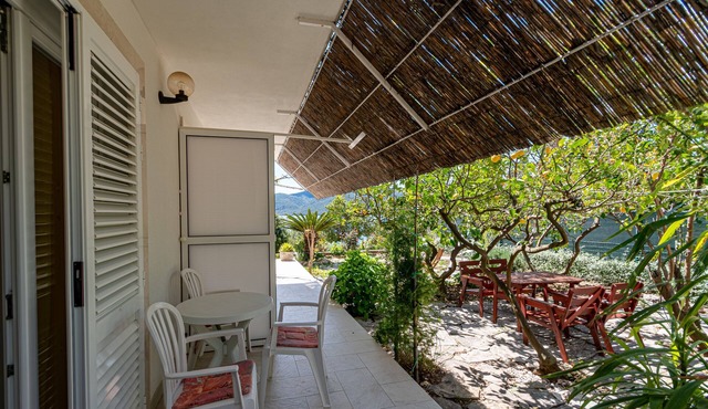 Studio flat with terrace and sea view Viganj, Pelješac (AS-19391-b)