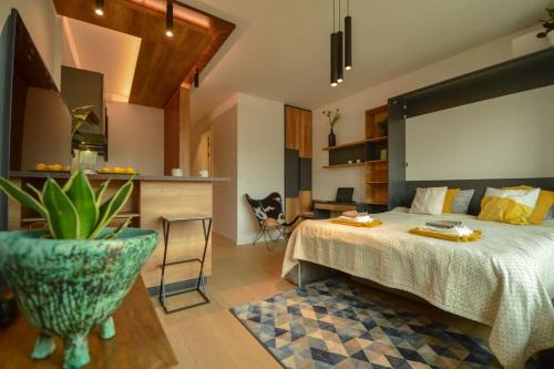 STUDIO K district (central BG+private parking) in Belgrade