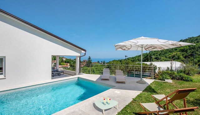 Stunning private villa for 8 people with private pool, WIFI, A/C, TV and terrace in Rijeka