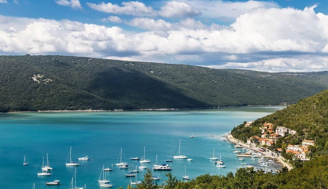 Sun-Kissed Sailing Adventure in Istria, Croatia