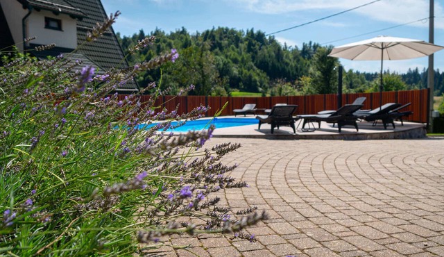 Three homes with pool and sauna in Gorski Kotar near Risnjak.