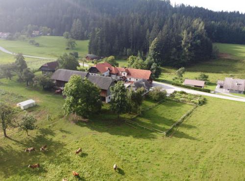 Tourist Farm Klevž