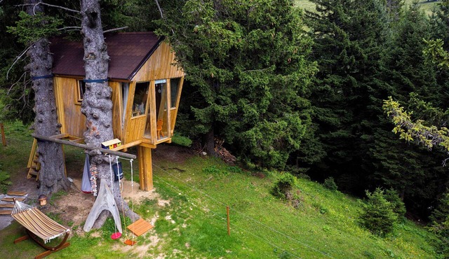 Tree house Alpinka