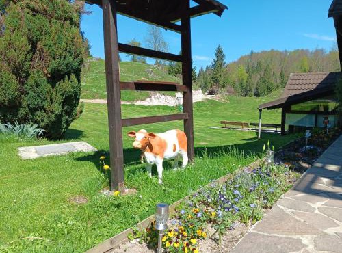 TURISTIČNa KMETIJA PR MARK