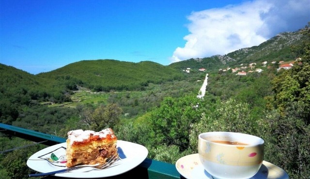 Two bedroom apartment with balcony Babino Polje, Mljet (A-22323-a) in Babino Polje