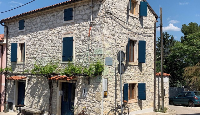 Typical Istrian stone house with romantic courtyard/dog-friendly in Brtonigla