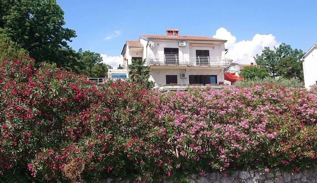 Vacation Rental/Apartment for 5 Guests, 70 m², in Paveki (170910) in Paveki