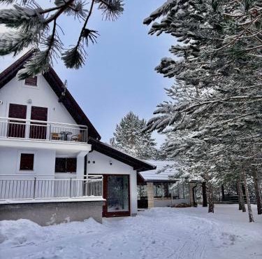 VikenDica Leko in Rudo Polje
