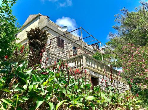 Villa Kralj Mljet in Saplunara