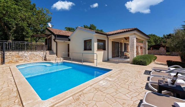 Villa La Vigna Blu (100231-K1) - Visnjan (Porec)