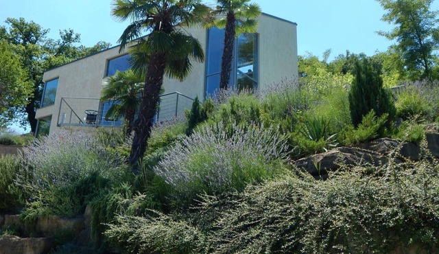 Villa Le Grand Cru nearby Motovun – Crovillas GmbH in Brkac