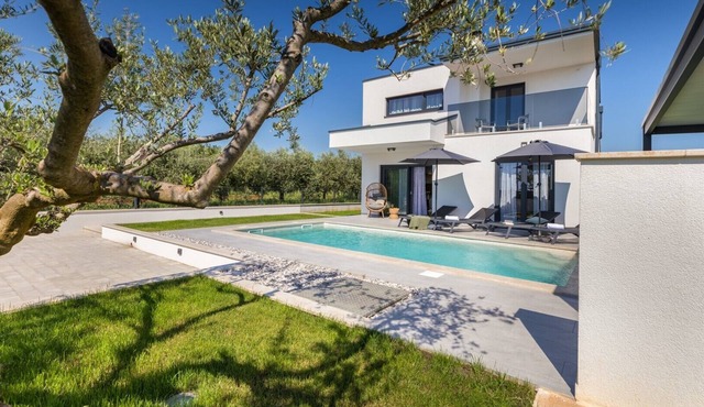 Villa Parenzana - beautiful modern built villa with private swimming pool near Porec