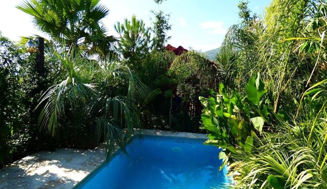 Villa Tropica - Secluded Private Pool, Jungle Garden, Soulful Escape near Split & Trogir in Kaštela