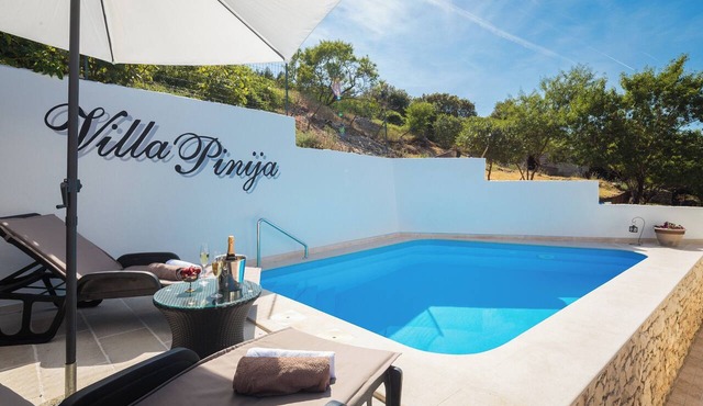 Villa with private pool, terrace and garden in Nerezisca