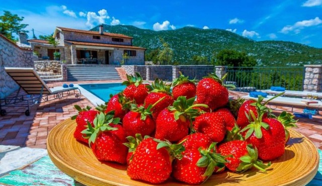Villa with swimming pool in Vrgorac