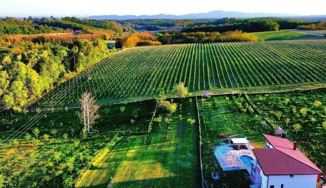 Vinewood - Saltwater Pool, Jacuzzi and Stunning Vineyard View in Zelezna Gora