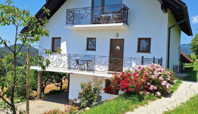 Vineyard 3-bedroom house with AC nearRajhenburg Castle in Brestanica