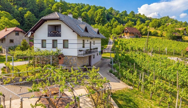 Vrtin Vineyard Family Retreat, Dragatuš, Slovenia