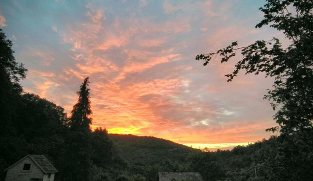 Zaborav in Beočin