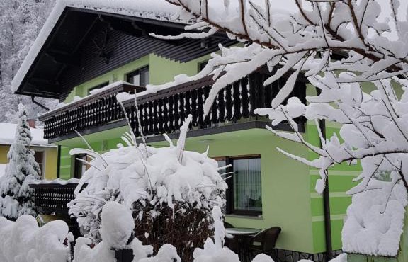 Zeleni apartma Zreče