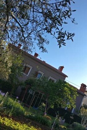 Apartman 