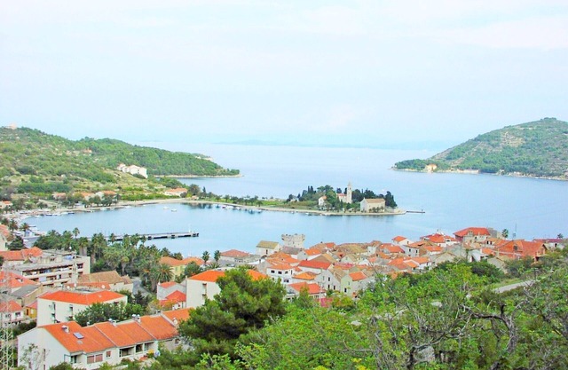Apartments Radislav, (10950), Vis, hr in Vis