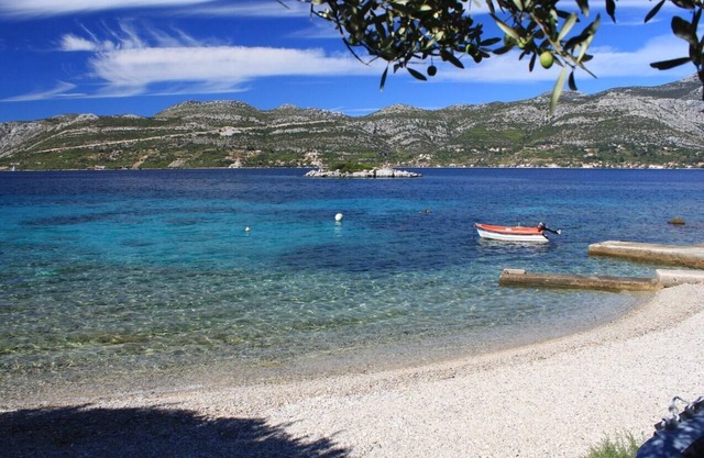 One bedroom apartment near beach Tri Žala, Korčula (A-174-a) in Korcula