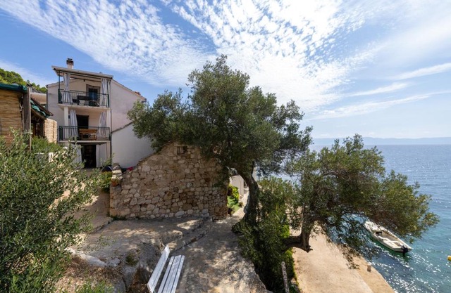 Seaside secluded apartments Cove Tvrdni Dolac, Hvar - 8703 in Gdinj
