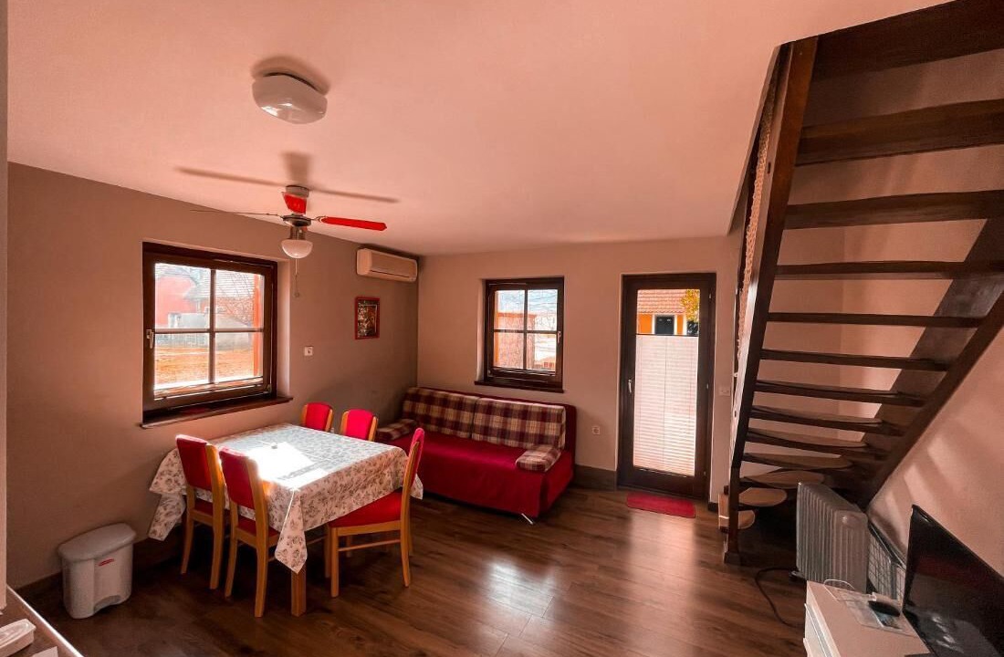 Catez ob Savi House | Mad House Apartment 2, Terme Čatež