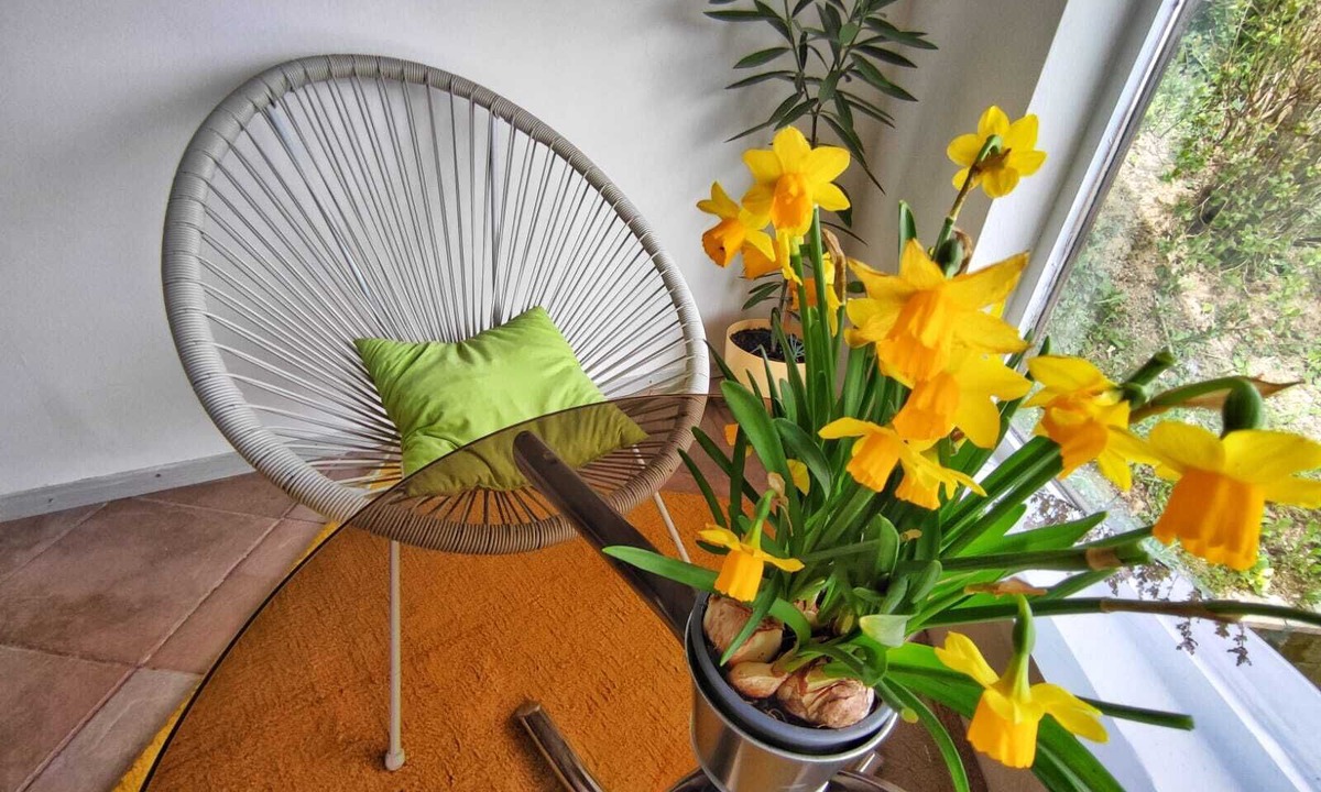 Samobor Apartment | Room-guest Room in Croatia
