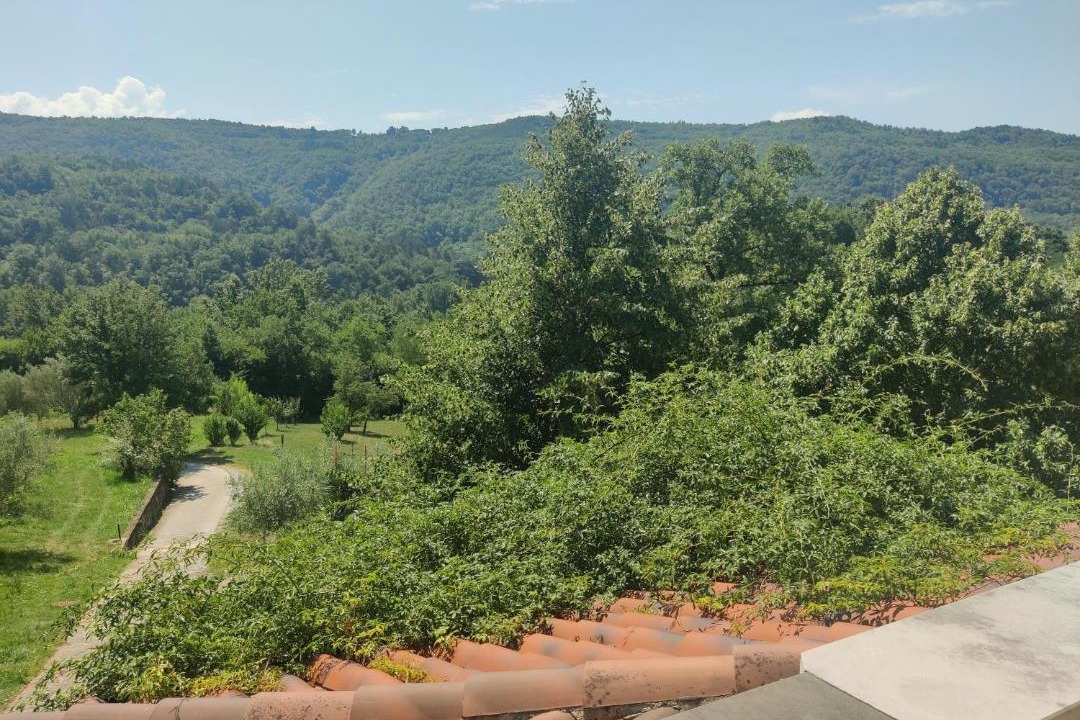 Koper Apartment | Stone House Apartment, Olive Grove & Valley View, Istria