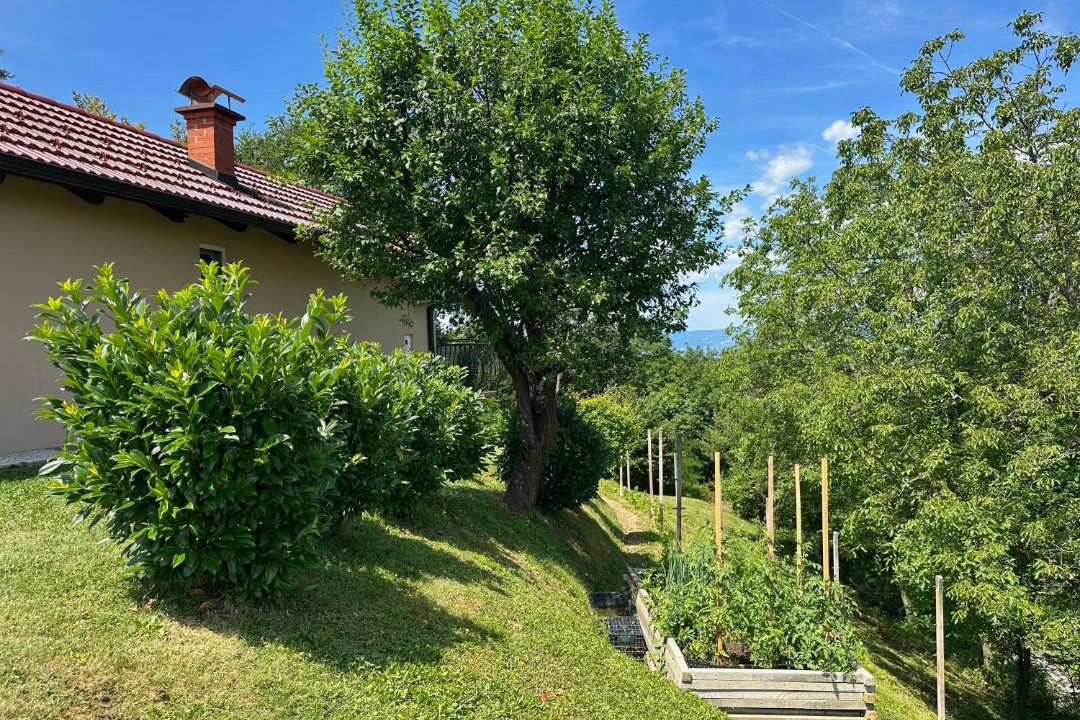 Majsperk House | Tomajna Vineyard Stay