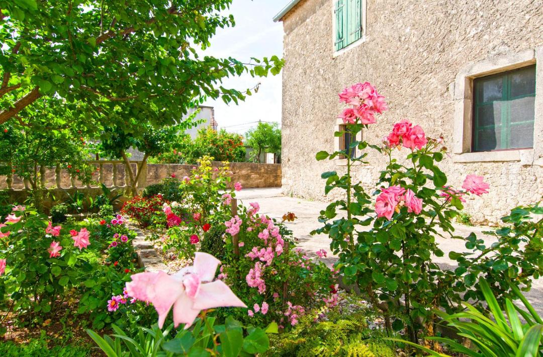 Dobropoljana Apartment | Apartments Miljenko