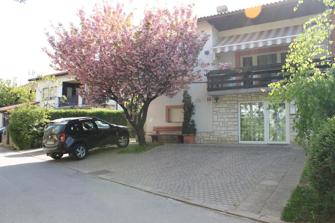 Postojna House | Rooms Jurca