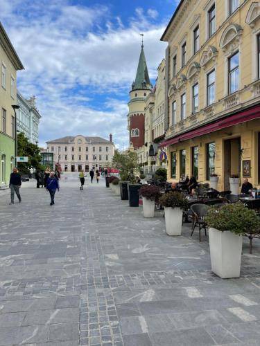 Photo of Others in Celje