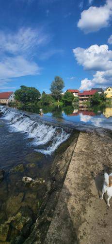 Photo of Others in Straza