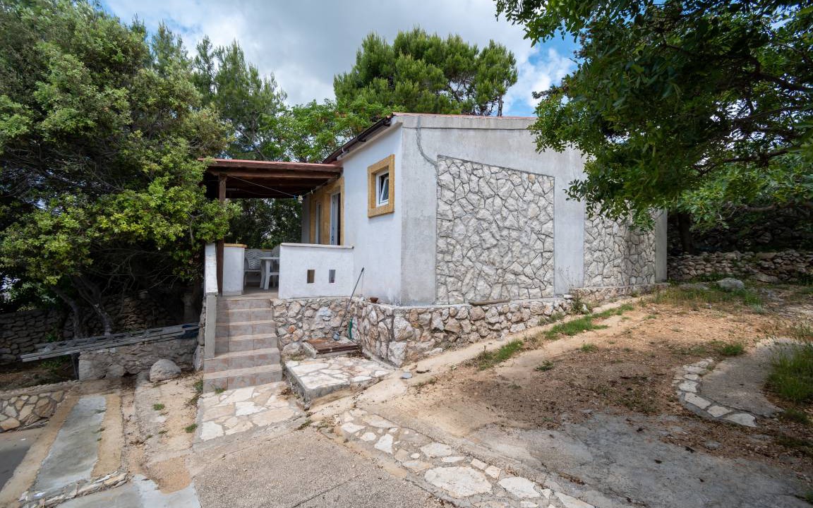 Photo of Others in Vidalici