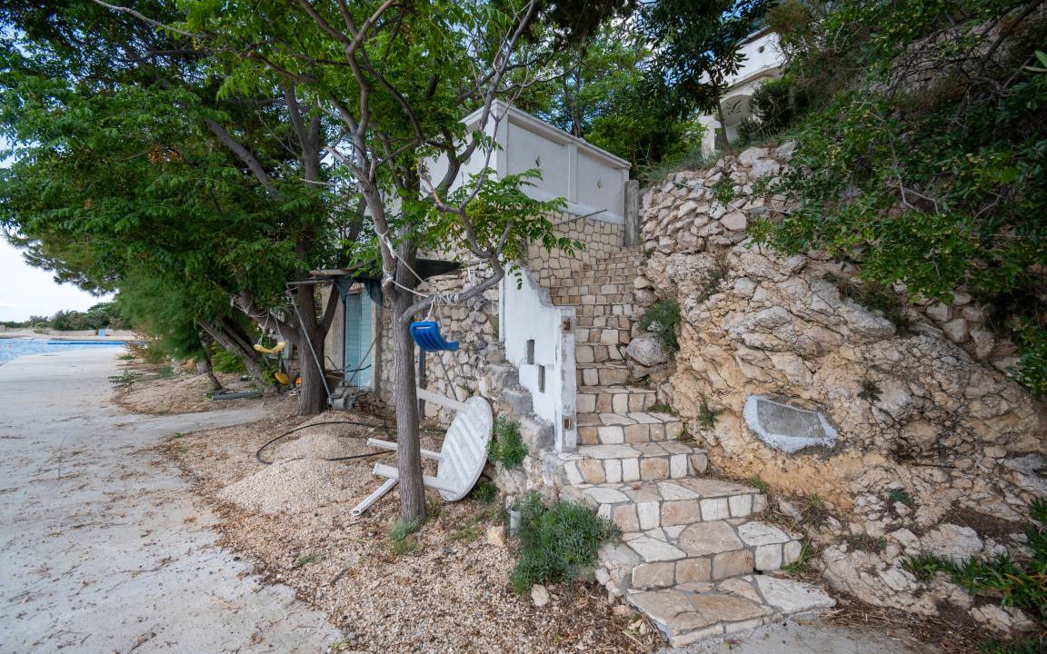 Photo of Others in Vidalici