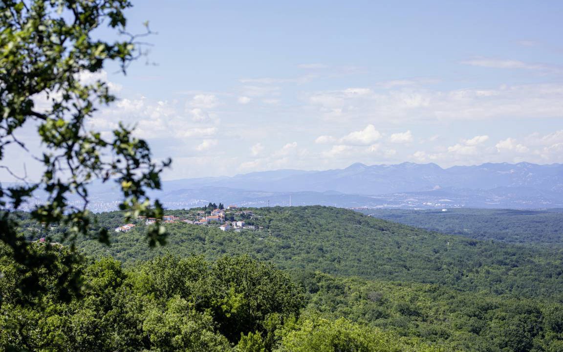 Photo of Others in Tribulje