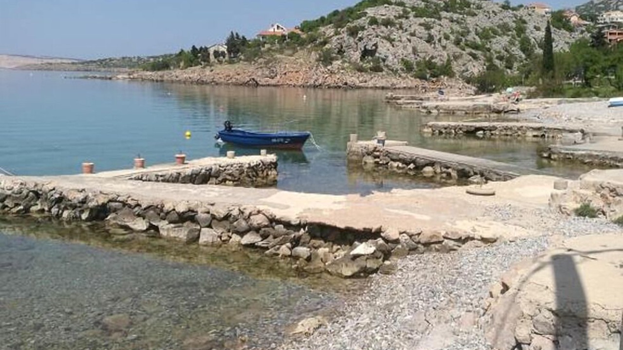 Photo of Others in Ribarica