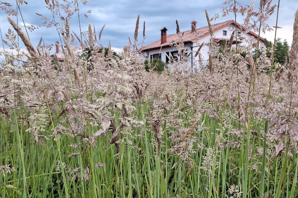 Photo of Outdoor in Piran