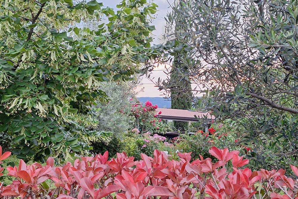 Photo of Outdoor in Piran