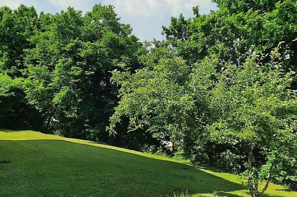 Photo of Others in Grabovac